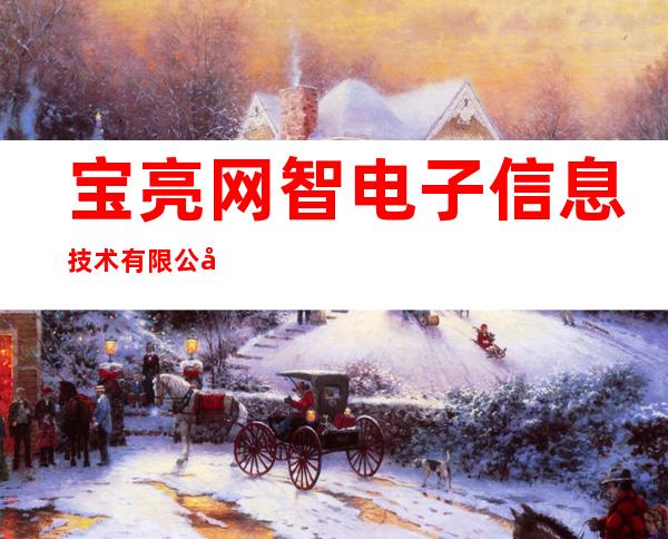 宝亮网智电子信息技术有限公司东莞分公司